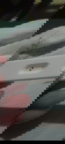 pregnancy test