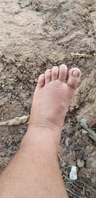 34วีค 2วัน