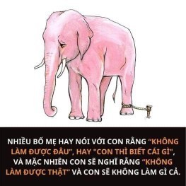 BỌ CHÉT, CON VOI VÀ NGƯỜI - BÀI HỌC SÂU SẮC TRONG DẠY CON!