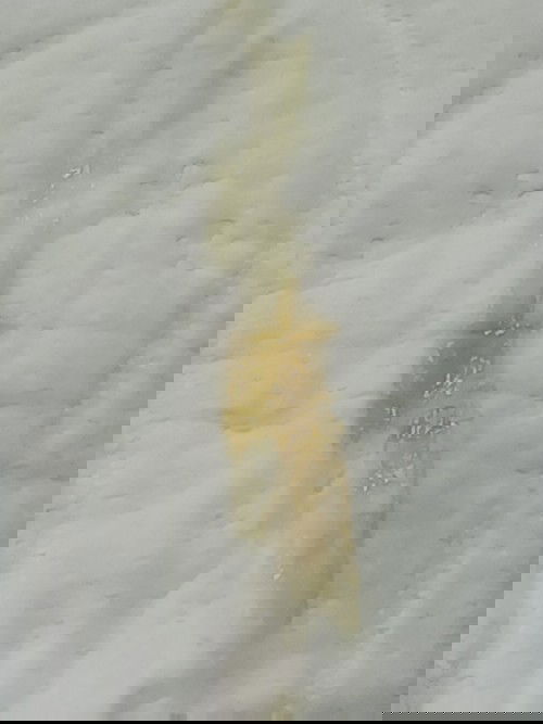 Discharge at week 19