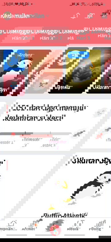 Ceritakan keluh kesah yg bunda rasain