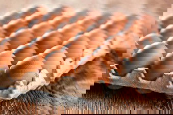 ทำไมกินเมนูไข่แล้วจะอ้วก😭