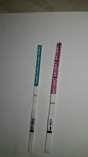 Hasil dua TP berbeda merk