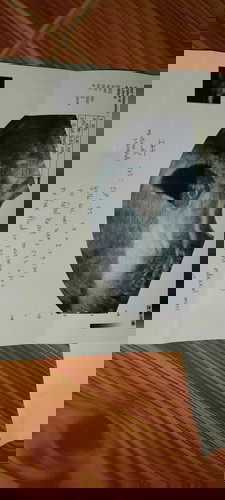 ท้องได้8สัปดาห์ อัลตร้าซาวด์ทางช่องคลอดแล้ว หมอบอกไม่มีการเต้นของหัวใจ