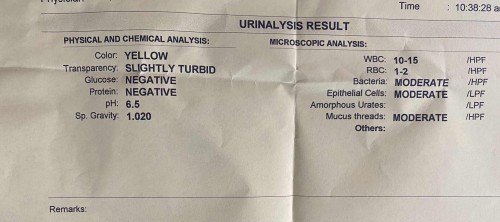 Urinalysis Test