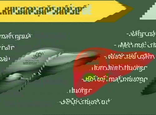 Khi cơ thể gặp vấn đề