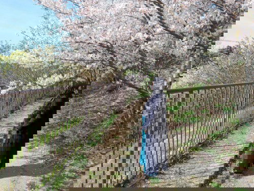 Kehamilan ku di tengah Pandemi di Negri orang (Jepang)