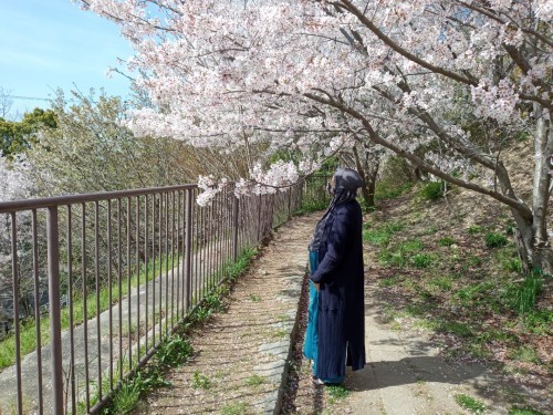 Kehamilan ku di tengah Pandemi di Negri orang (Jepang)