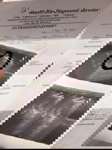 1st Trimerster Journey π