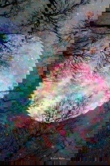 ano po ang ligtas na paraan sa panganganak sa isang buntis  tumataas ang bp pag manganganak na cya?