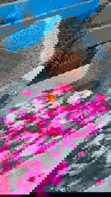 Kehamilan dan kelahiran.