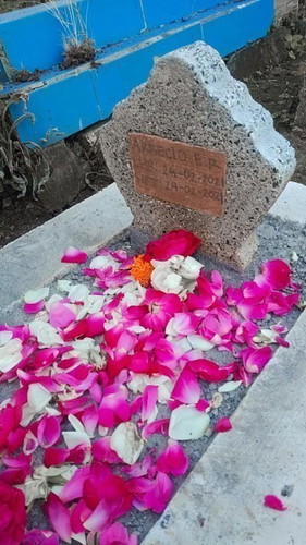 Kehamilan dan kelahiran.