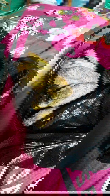 Bayi 3 buln dikasih pisang