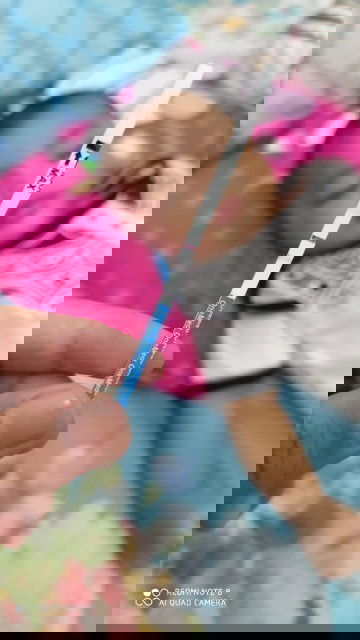 Rahimku hanya beristirahat 2 bulan, Pasca SC 2 bulan ternyata aku hamil lagi