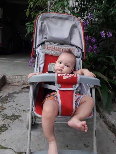 Ăn dặm cực hình