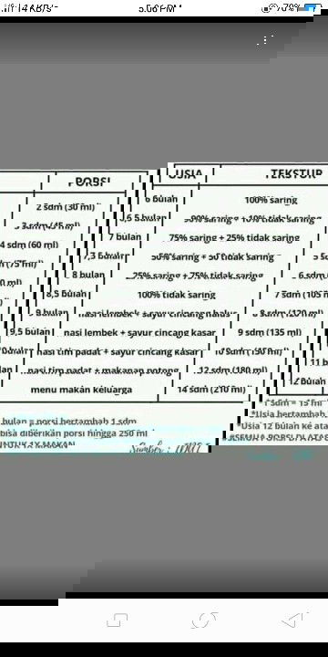 Porsi makan anak 1 tahun