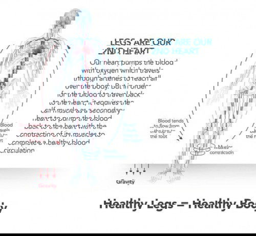 What does Aulora really do to your body?