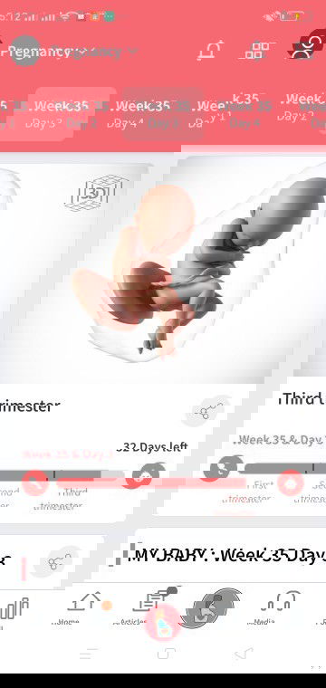 35 WEEKS PERO BREECH DAW