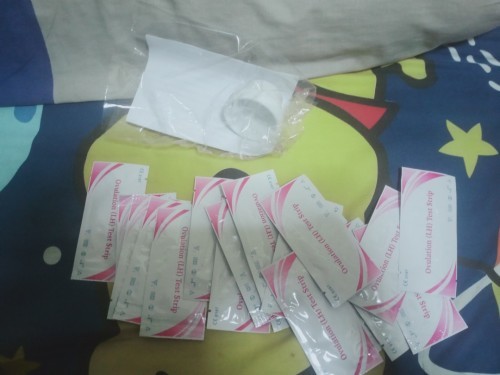 ที่ตรวจไข่ตก