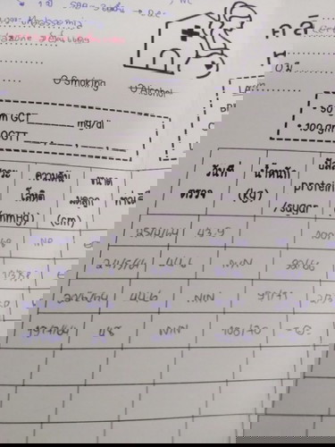 น้ำหนักแม่