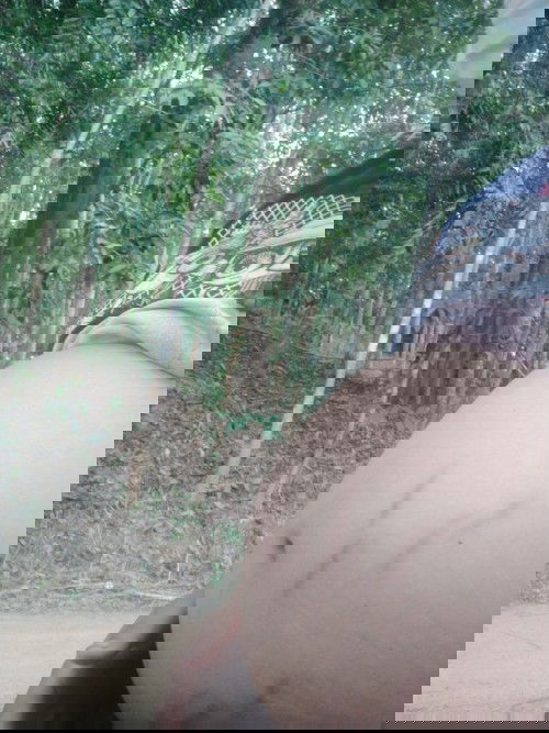 อยากถามคุนแม่ทุกคนค้ะ