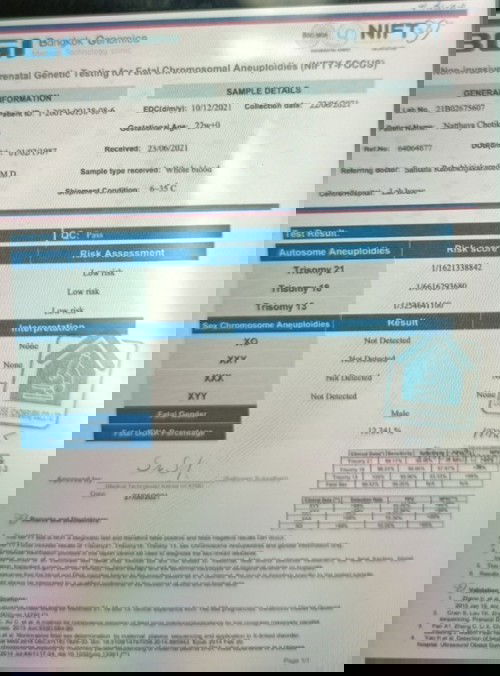 เพศทารกในครรภ์