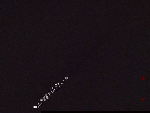 Kuncir rambut malam hari