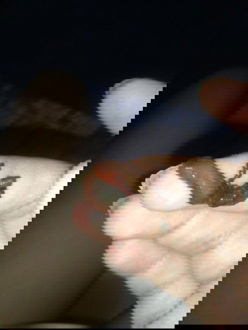 ปกติไหมคะ วันนี้ตรวจภายในมา ปากมดลูกเปิด3.7เซ็น แต่หมอให้กลับมาบ้าน 38+3