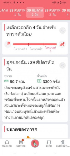 ยังไม่มีวี่แววจะออกมาเลย