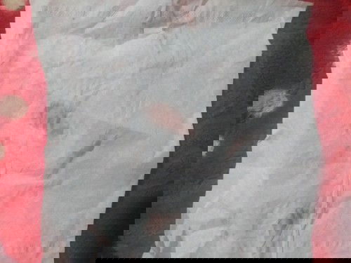 hamil 7 minggu 2 hari bun tiba2 ada keluar darah gini ? khawatir banget ,, ini pertanda apa yah ?