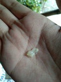 Ngaun lang poh lumabas skin tanung lang poh ako kung Anu pong meaning nito 39 weeks na poh ako?