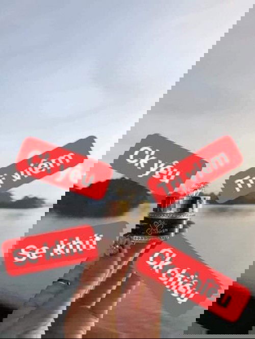 Có mom nào dùng loại này chưa