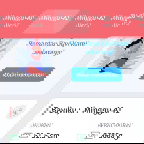 41week hpl 17 juli 2021