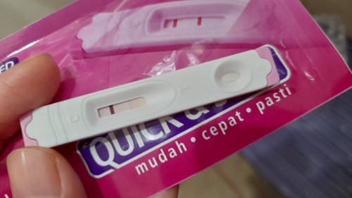 2 garis hasil Evaporasi wkwk