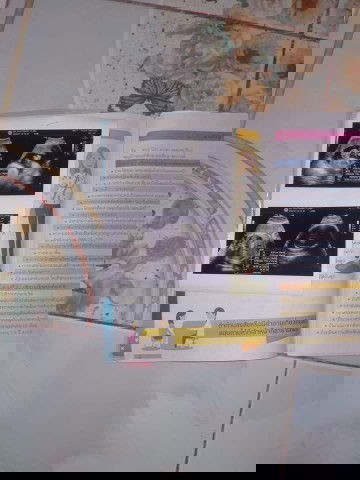 คุณแม่ ตั้งครรภ์