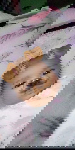 Laki laki na ng babu ni mommy