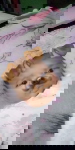 Laki laki na ng babu ni mommy