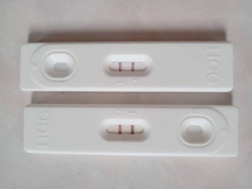 may 18 po ang first day ng huli ko regla.then last month di na ko dinatnan. ilang months n po ba to?