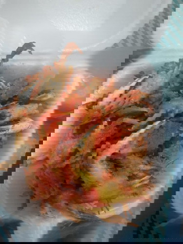 Bun,aku usia kandungan 12 mnggu. Nah blm lama aku nemuin Baby crab trus aku makan. Boleh gk si bun?