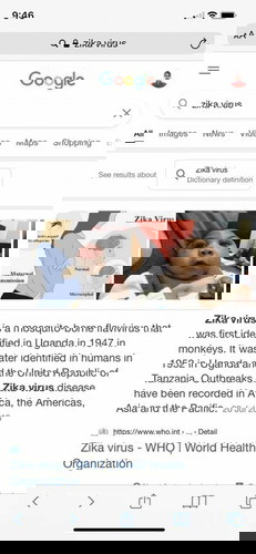 What you need to know about Zika Virus and its effect on pregnant women if contracted