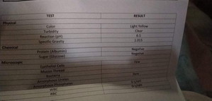 11wks preggy my pain sa puson kpo ok nmn result ng urine at transV po ano po kaya ito.advice po plss