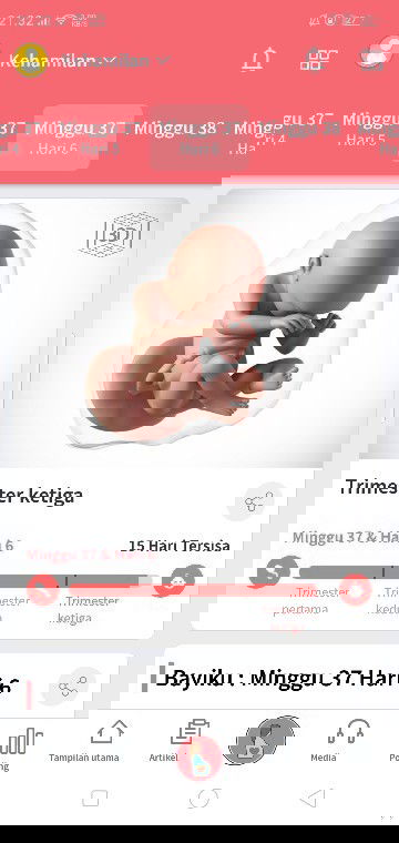 15hari menuju hpl 😊