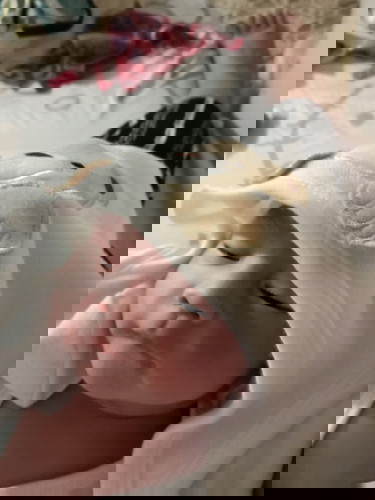 Nakaraos din po kmi ni baby
Edd: july 26 2021
Npaka sakit ng labor ko 😭..