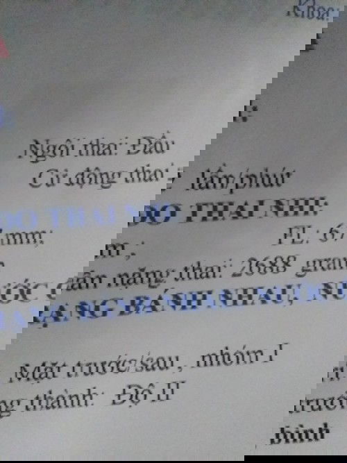 37tuan .như vậy có bé quá ko mọi người oi