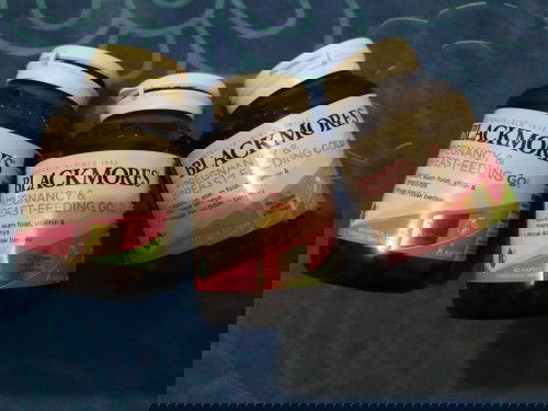 Jual blackmores pregnancy