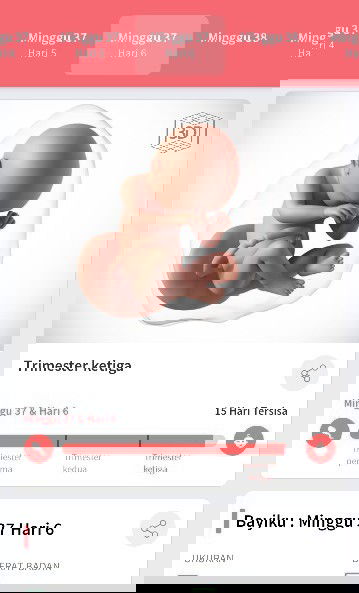 Menunggu gelombang cinta