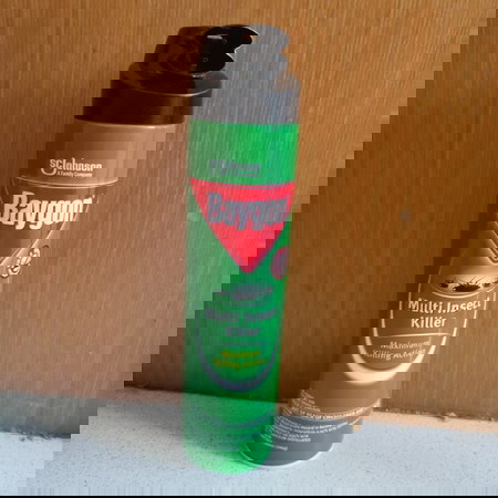 Baygon Multi Insect Killer Double Nozzle Aerosol