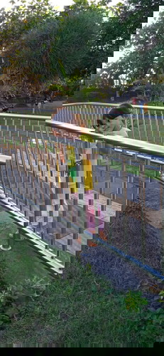 Penyebab anak tiba" Agak sedikit manja padahal biasanya nggak.