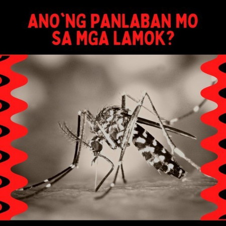 Ano'ng panlaban mo sa mga lamok?