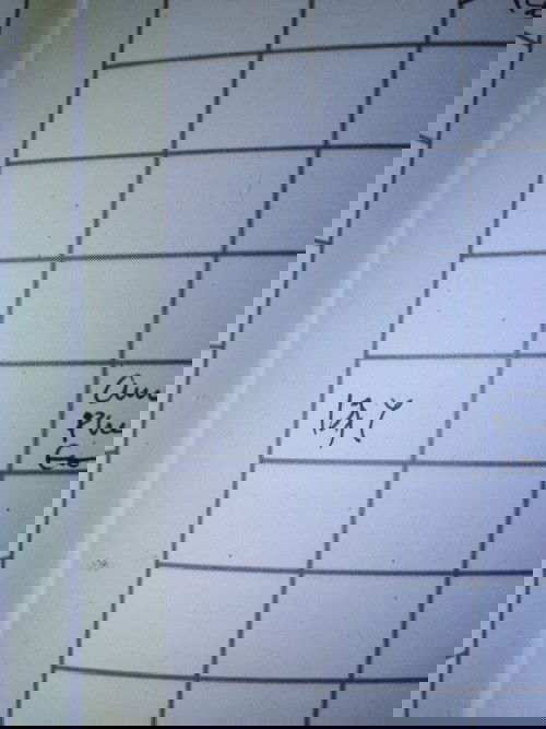 LETAK JANIN PADA BUKU KIA